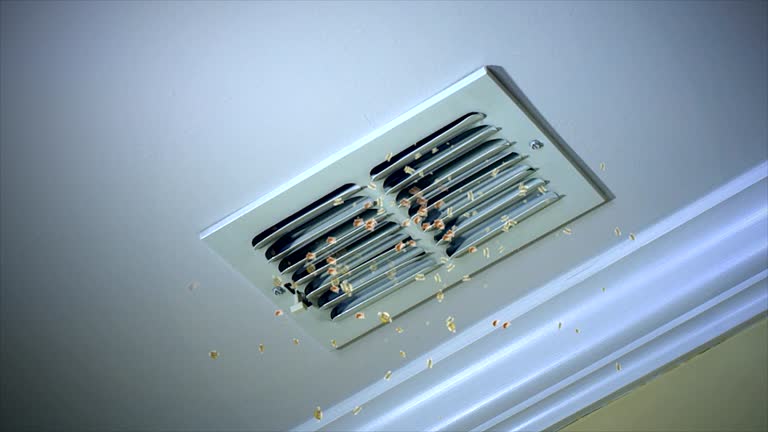 Best Local Air Duct Cleaning Services  in Estero, FL