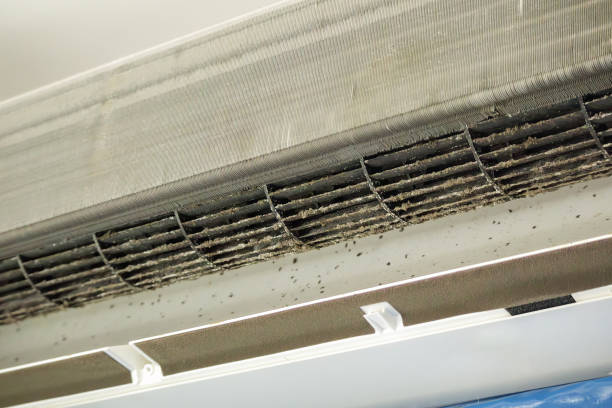 Best HVAC System Cleaning  in Estero, FL